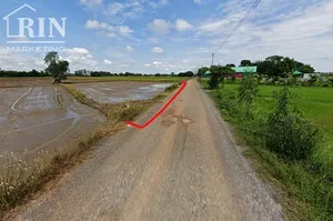 ขายถูก ที่ดิน ตาลเตี้ย เมืองสุโขทัย ถนนไฟฟ้าหน้าที่ดิน 5-1-44 ไร่