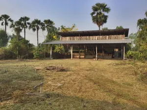 ขาย ที่ดินพร้อมสิ่งปลูกสร้าง บ้านพักอาศัยไม้ใต้ถุนสูง 1 ชั้น  ต.ปงยางคก อ.ห้างฉัตร จ.ลำปาง PAP5-0602