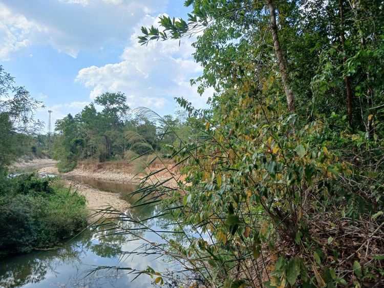ขาย ที่ดิน เพชรเกษม ระนอง 43 ไร่ วิวเขา ติดน้ำ ติดถนนเพชรเกษม, ภาพที่ 4