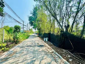  ขายที่ดินเปล่า 3 ไร่ 67 ตร.ว. ถ.บางไผ่-หนองเภาหงาย ต.บางคูรัด อ.บางบัวทอง จ.นนทบุรี