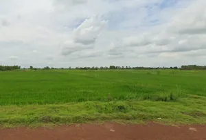 ขายที่ดินเปล่า โครงการไชยานุภาพ ท่านางงาม อำเภอบางระกำ ติดถนนสาธารณะ การคมนาคมสะดวก