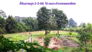 ขายที่ดิน  2-3-88 ไร่ พร้อมบ้านชั้นเดียว 1 หลัง ไว้เป็นเกษตรพอเพียง ใกล้ถนนหลักสุวรรณศรใหม่ เพียง 5 นาที  ต.โนนห้อม อ.เมือง จ.ปราจีนบุรี