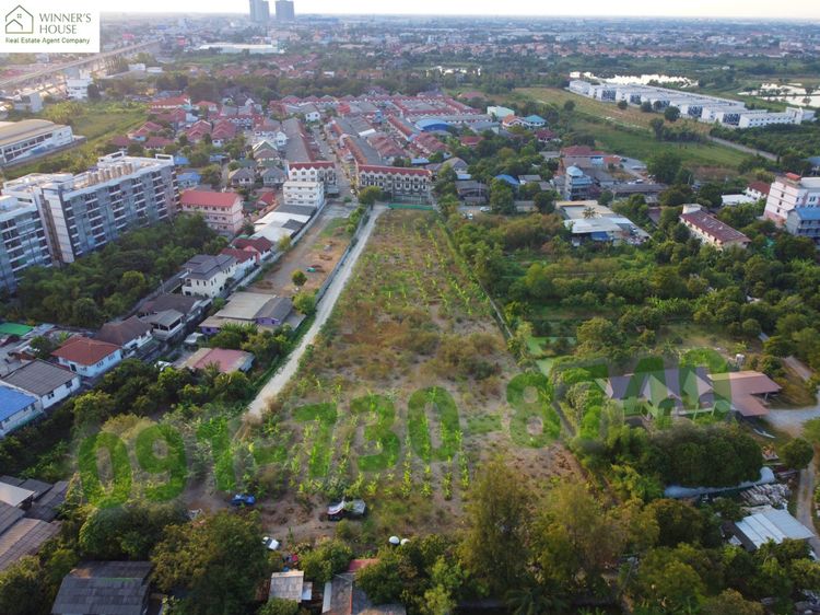 ขาย ที่ดิน ขายที่ดินบางรักใหญ่ บางบัวทอง นนทบุรี 6-0-83ไร่ 6 ไร่ 83, ภาพที่ 4
