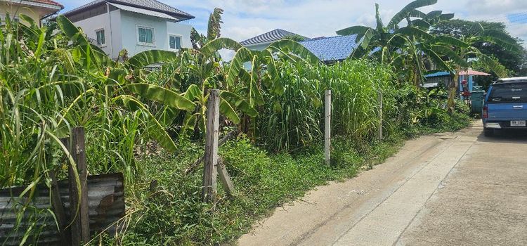 ขาย ที่ดิน หมู่บ้านมหาดไทย2 50 ตร.วา บางระมาด11 ตลิ่งชัน กทม., ภาพที่ 4