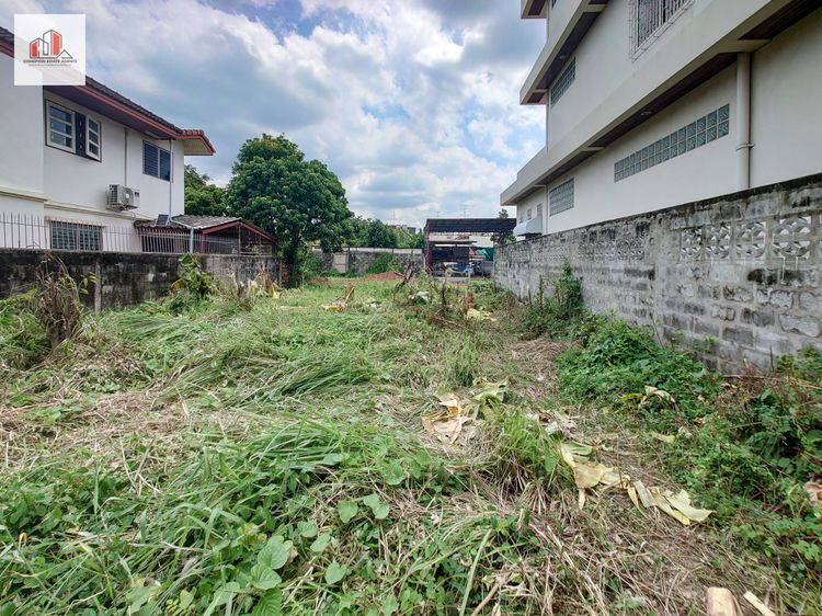 ขาย ที่ดิน ถมแล้ว พุทธมณฑลสาย 3 ม.เศรษฐกิจ 86 ตร.วา, ภาพที่ 4
