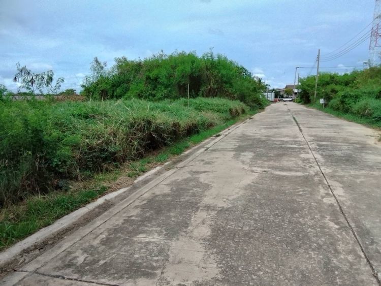 ขายที่ดินเปล่า 137 ตรว หมู่บ้านคุณาลัย บางขุนเทียน ถนนกว้าง 7.5 เมตร, ภาพที่ 4