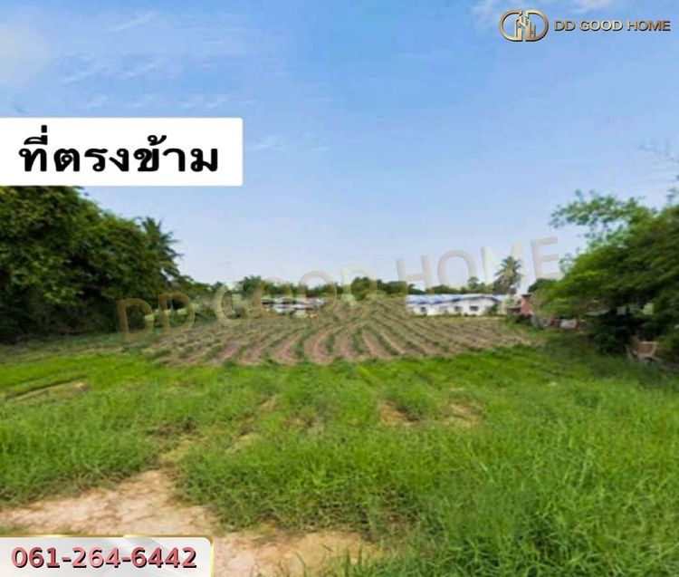 ที่ดิน อ.บรรพตพิสัย 211.4 ตร.ว. นครสวรรค์, ภาพที่ 4