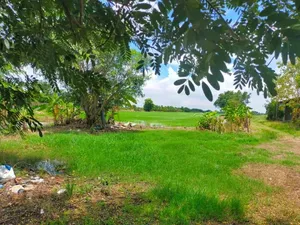 ขาย ที่ดิน ตำบลคลองห้า อำเภอคลองหลวง จังหวัดปทุมธานี