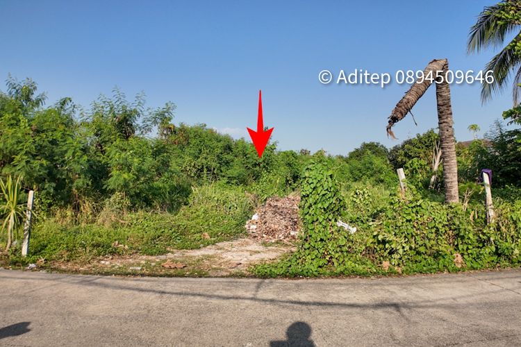ขายที่ดิน บางใหญ่ 1 ไร่ 331 ตรว. ใกล้ถนนกาญจนาภิเษก 800 ม., ภาพที่ 4