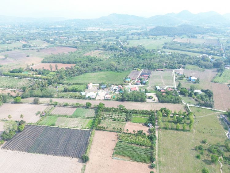 ขาย ที่ดิน เขาใหญ่ ต.​หนองน้ำแดง​ อ.ปากช่อง 8 ไร่ เหมาะแบ่งแปลงทำจัดสรร, ภาพที่ 4