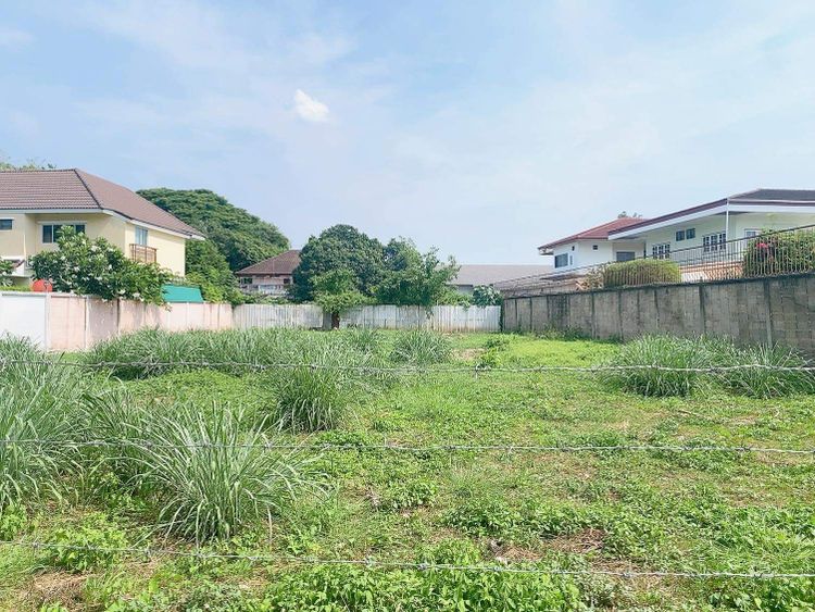 ปล่อยเช่าที่ดินในเมือง วัดเกต ทุ่งโฮเตล 204.3ตร.วา , ภาพที่ 4