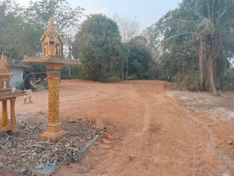 ขายที่ดินเกาะขนุน 132 ตรว. ติดถนนลาดยางซอยวัดชายเคือง อ.พนมสารคาม, ภาพที่ 4