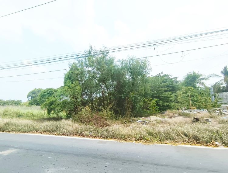 ขายด่วนที่ดินเปล่า 2 ไร่ ชุมชนบ้านนา เมืองอ่างทอง, ภาพที่ 4