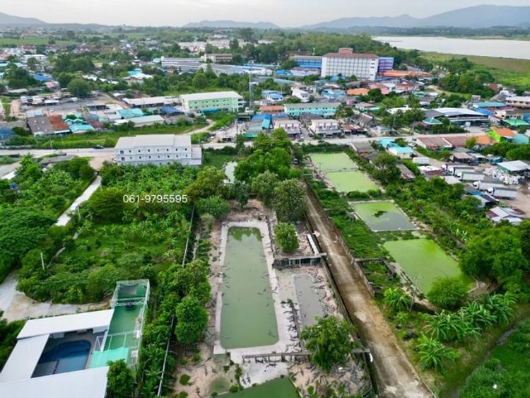 ขายที่ดิน ติดถนนหนองค้อ ทำเลดี ศรีราชา ชลบุรี FP-L0134, ภาพที่ 4