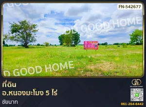 ที่ดิน อ.หนองมะโมง 5 ไร่ ชัยนาท