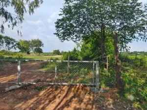 ขาย ที่ดิน ต.ใจดี อ.ขุขันธ์ จ.ศรีสะเกษ     PAP4-0199