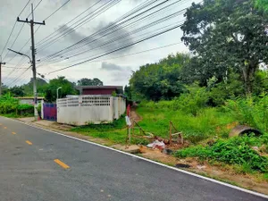 ขาย ที่ดิน ต.เมืองคง อ.ราษีไศล จ.ศรีสะเกษ  PAP6-0129 