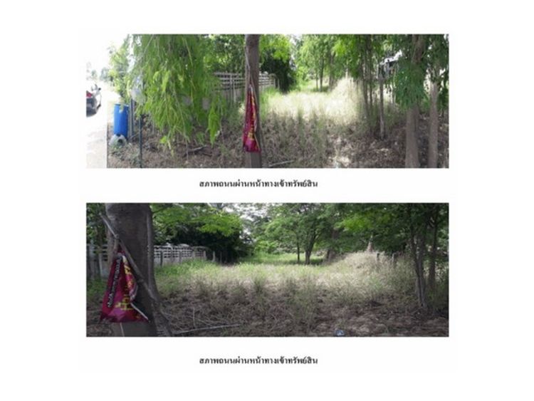 ขายที่ดิน  ตำบลเขาท่าพระ เมืองชัยนาท (PG-CHN630005), ภาพที่ 4