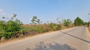 ขายที่ดินบางบริบูรณ์ 8 ไร่ หน้ากว้างติดถ.ลาดยาง100เมตรหลังติดคลองใกล้สะพานข้ามแม่น้ำบางปะกงใกล้โรบินสัน3กม. เมืองปราจีนบุรี