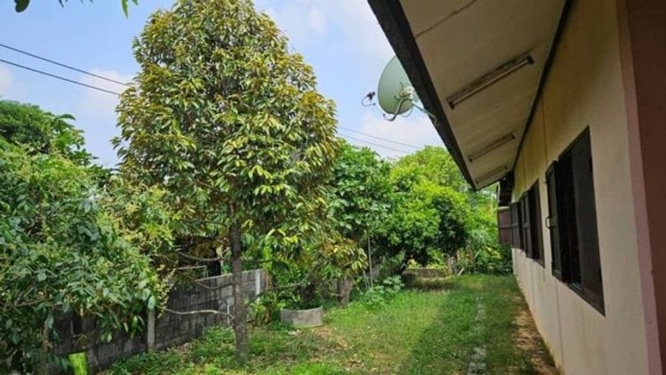ที่ดินพร้อมสิ่งปลูกสร้าง บ้านสวย อากาศดีธรรมชาติร่มรื่น FP-L0138, ภาพที่ 4
