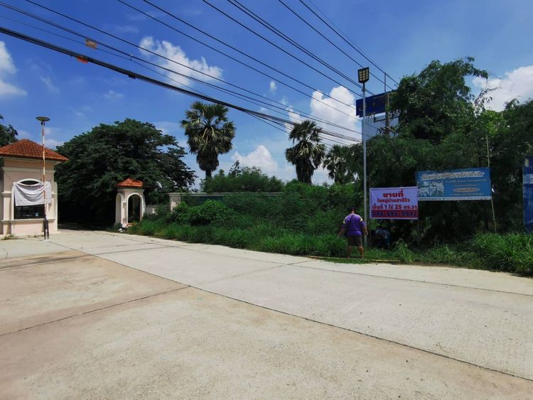 ขาย ที่ดิน ตำบลสาลี อำเภอบางปลาม้า จังหวัดสุพรรณบุรี, ภาพที่ 4