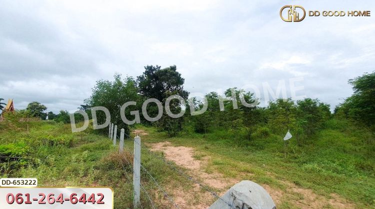 ที่ดินวังหิน 7 ไร่ 389 ตร.ว. ศรีสะเกษ ใกล้วัดป่าดู่ วังหิน, ภาพที่ 4