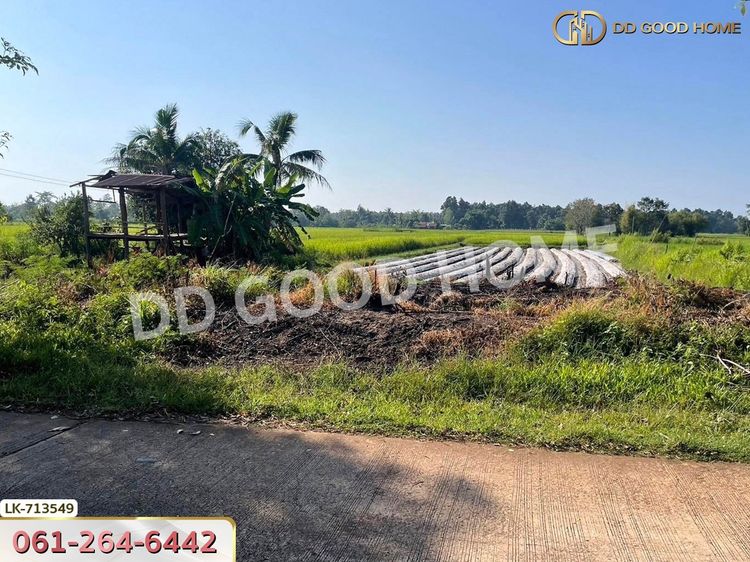 ที่ดินพรรณานิคม 6 ไร่ 231 ตร.ว. สกลนคร, ภาพที่ 4