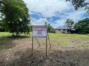 ขายที่ดินถมแล้ว ขนาด 2 ไร่ 3 งาน 60 ตร.ว (1,160 ตร.ว) ม.7 ต.วังทอง อ.ศรีสำโรง จ.สุโขทัย