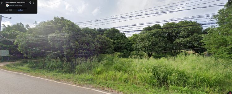 ขาย ที่ดิน 4 ไร่ 99 ตร.ว แปลงมุม อ.ปากช่อง , ภาพที่ 4