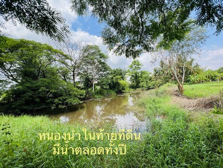  ขายถูกๆ  ที่ดินแปลง สวยๆ   บ้านหาดคำ อ.เมือง จ.หนองคาย, ภาพที่ 4