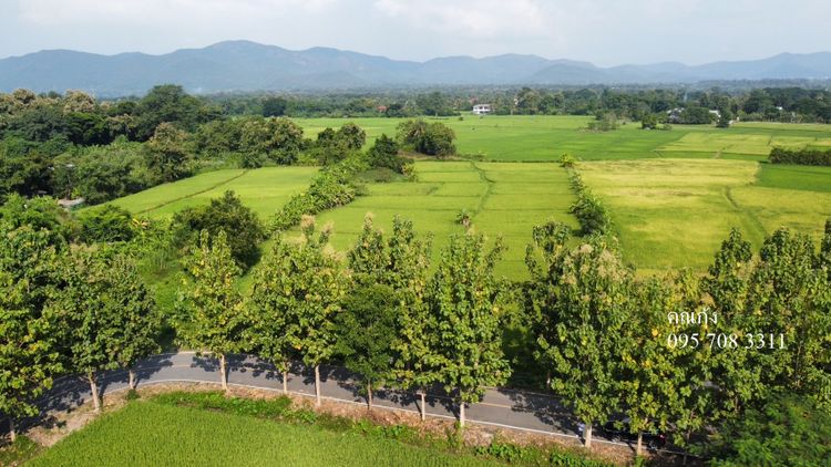 ที่ดินไร่ละไม่เกิน2ล้าน ต.เชิงดอย อ.ดอยสะเก็ดเชียงใหม่ ติดทางหลวงชนบท  , ภาพที่ 4