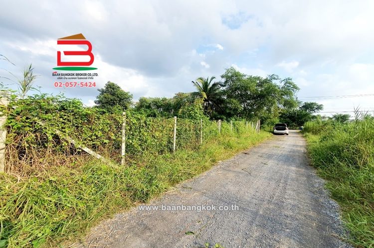 ที่ดินถมเเล้ว ซอยสหพร เนื้อที่ 313 ตรว. อ.นครชัยศรี จ.นครปฐม, ภาพที่ 4