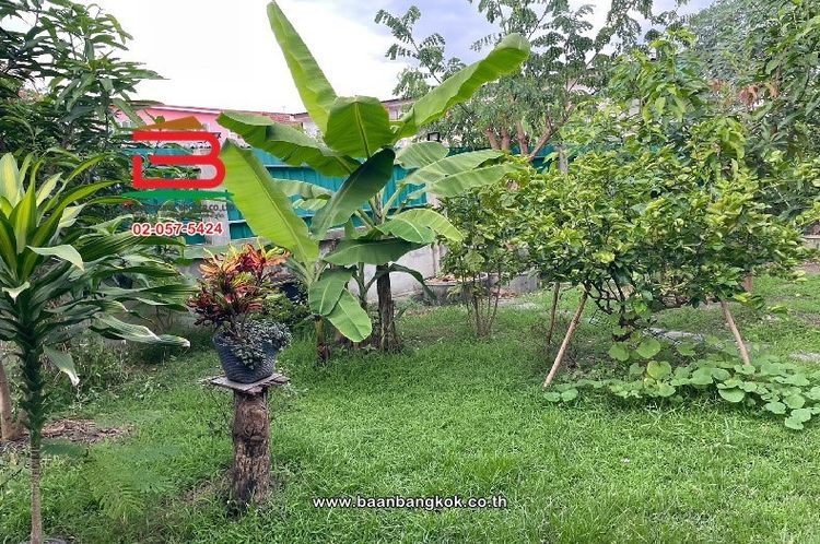 ที่ดินพร้อมบ้าน ซอยรามอินทรา 65 แยก 2 เนื้อที่ 81 ตารางวา ถนนรามอินทรา, ภาพที่ 4