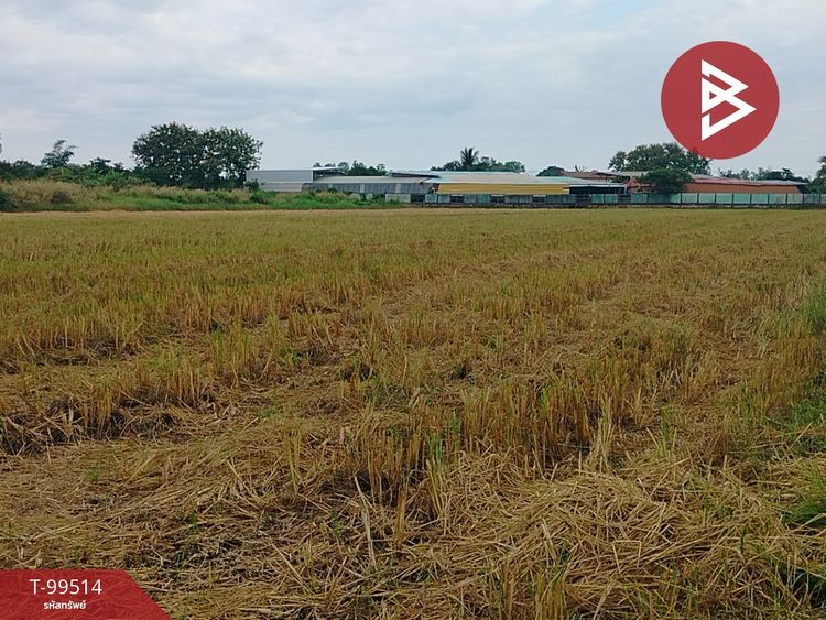 ขายที่ดินเปล่าด่วน เนื้อที่ 3 ไร่ 1 งาน 43 ตร.วา หาดกรวด อุตรดิตถ์, ภาพที่ 4