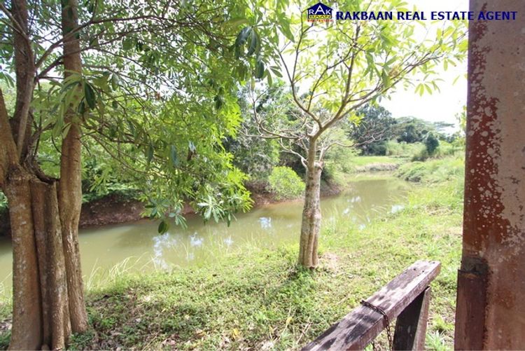 ขายที่ดิน 1ไร่ 16วา พร้อมบ้านพักตากอากาศชั้นเดียว 2ห้องนอน 2ห้องน้ำ, ภาพที่ 4