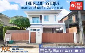 มาเด้อมาพี่น้อง  บ้านเดี่ยว 🏡 ให้เช่า !! แปลงใหญ่หลังมุม เดอะ แพลนท์ เอสทีค พัฒนาการ 38 เดินทางสะดวก ทำเลดี  โทร 064-954-9619 (RBE18-50) 