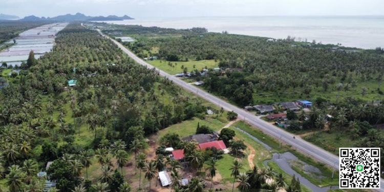 ขาย ที่ดิน ใกล้ทะเลเพียง 600 เมตร ตำบลกุยเหนือ อำเภอกุยบุรี, ภาพที่ 4
