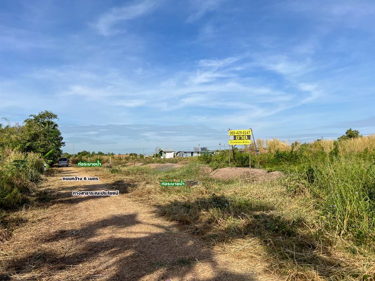 ขายที่ดิน บงกช 6 คลองสอง คลองหลวง ปทุมธานี ราคาพิเศษ ไร่ละ 3.8 ล้านบาท, ภาพที่ 4