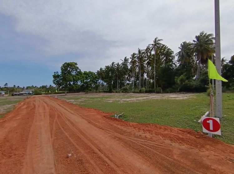 ที่ดินแบ่งขาย 110-200 ตรว. ใกล้หาดคลองวาฬ ติดถนนใหญ่ วิวภูเขา ต.คลองวาฬ, ภาพที่ 4