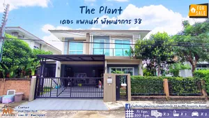 ขายบ้านเดี่ยว The Plant พัฒนาการ 38 พร้อมเฟอร์นิเจอร์ ใกล้เอกมัย ทองหล่อ สุขุมวิท โทร 064-954-9619 (BF16-71)