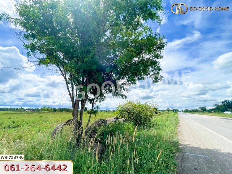 ที่ดินเมืองสระแก้ว 6 ไร่ 302 ตร.ว. ใกล้ แยกสระขวัญ, ภาพที่ 4