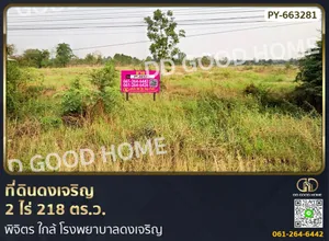 ที่ดินดงเจริญ 2 ไร่ 218 ตร.ว. พิจิตร ใกล้ โรงพยาบาลดงเจริญ