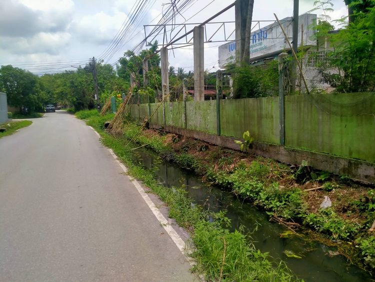 ขาย ที่ดิน ตำบลสะเตงนอก อำเภอเมืองยะลา จังหวัดยะลา, ภาพที่ 4