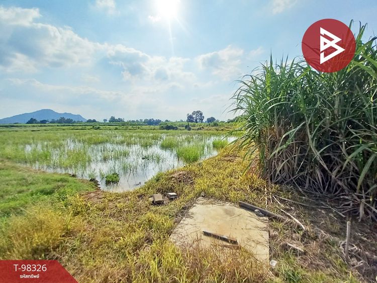 ขายด่วนที่ดินเปล่า เนื้อที่ 7 ไร่ 2 งาน 58 ตร.วา ด่านมะขามเตี้ย, ภาพที่ 4