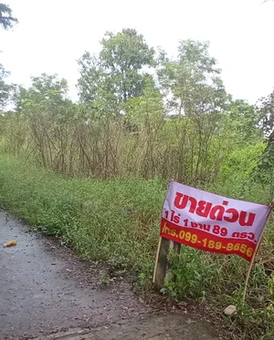 ขายด่วน ที่ดิน ชำผักแพว แก่งคอย 1-1-89 ไร่