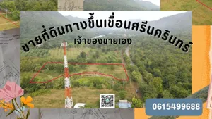 ขายที่ดิน 4 ไร่ มีโฉนด ติดถนนทางขึ้นเขื่อนศรีนครินทร์ หน้ากว้าง 88 ม. เจ้าของขายเอง