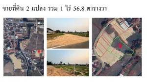 ขาย ที่ดิน 1 ไร่ 56.8ตารางวา ตำบลทรายมูล อำเภอทรายมูล จังหวัดยโสธร