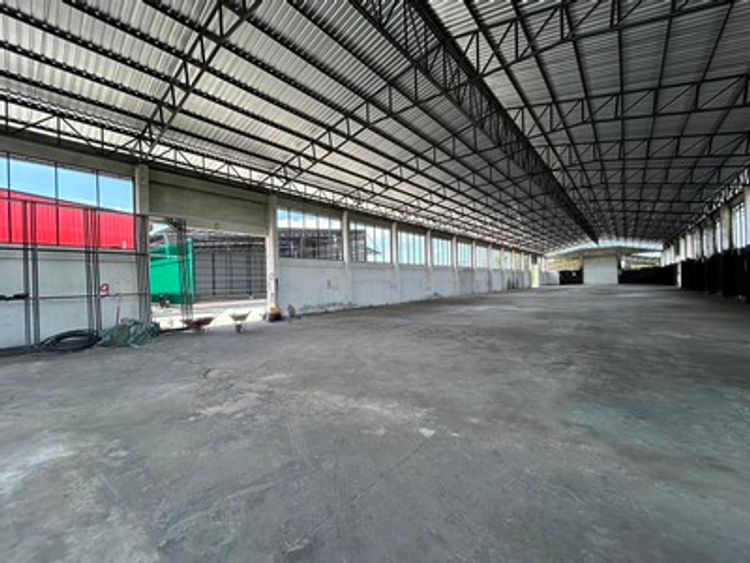 RK562 ให้เช่าโกดังสร้างใหม่ 1,440 ตารางเมตร คลองหลวงแพ่ง ใกล้สนามบิน, ภาพที่ 4