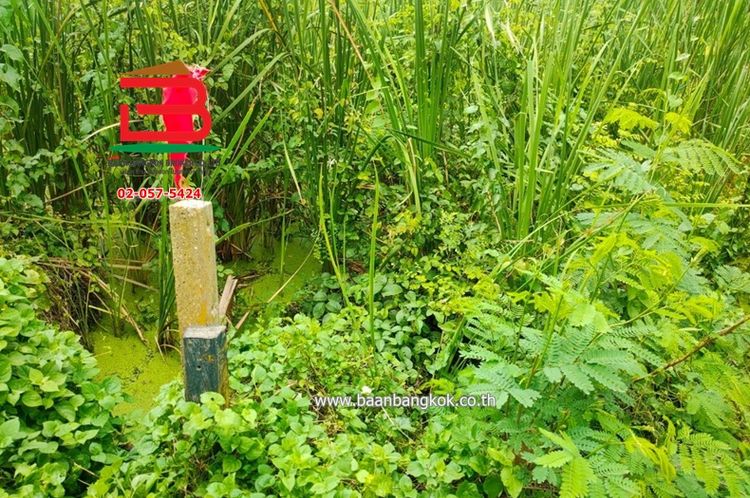 ที่ดินเปล่า ซ.เพชรเกษม 77 เนื้อที่ 70 ตรว. ถนนเพชรเกษม แขวงหนองแขม, ภาพที่ 4