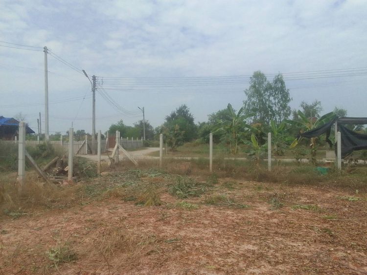 ขายที่ดิน 193.9 ตร.ว. ใกล้ ไทยแอโรว์ หัวรอ พิษณุโลก, ภาพที่ 4